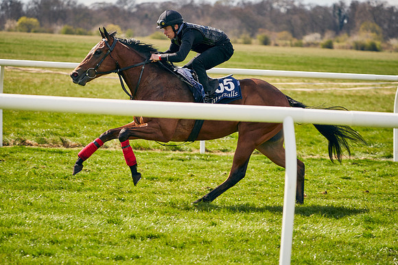 2021-04-12-Dominic-James-Craven-Breeze-Up-Sales-0962