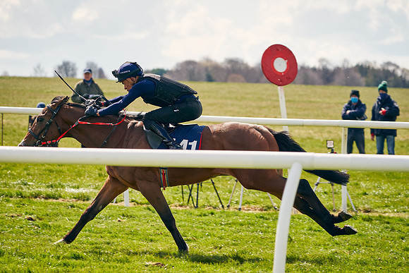 2021-04-12-Dominic-James-Craven-Breeze-Up-Sales-1019