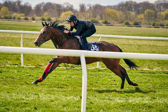 2021-04-12-Dominic-James-Craven-Breeze-Up-Sales-0959