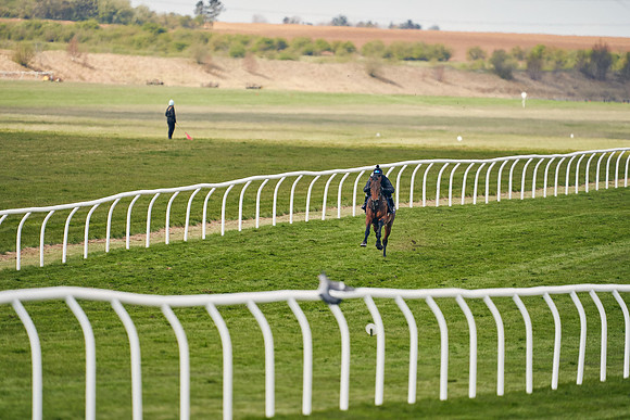 2021-04-12-Dominic-James-Craven-Breeze-Up-Sales-0925