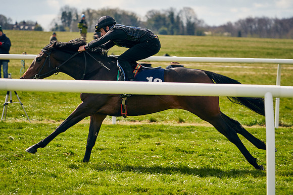 2021-04-12-Dominic-James-Craven-Breeze-Up-Sales-0873