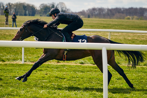 2021-04-12-Dominic-James-Craven-Breeze-Up-Sales-0872