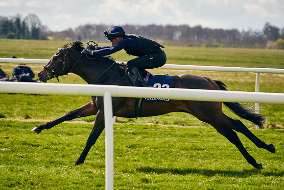 2021-04-12-Dominic-James-Craven-Breeze-Up-Sales-0881