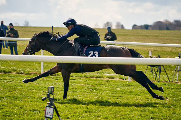 2021-04-12-Dominic-James-Craven-Breeze-Up-Sales-0886