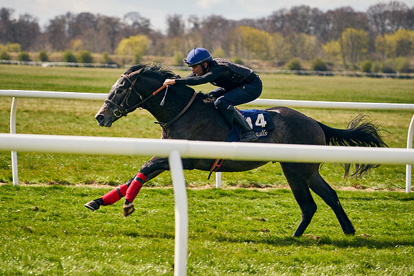 2021-04-12-Dominic-James-Craven-Breeze-Up-Sales-0992