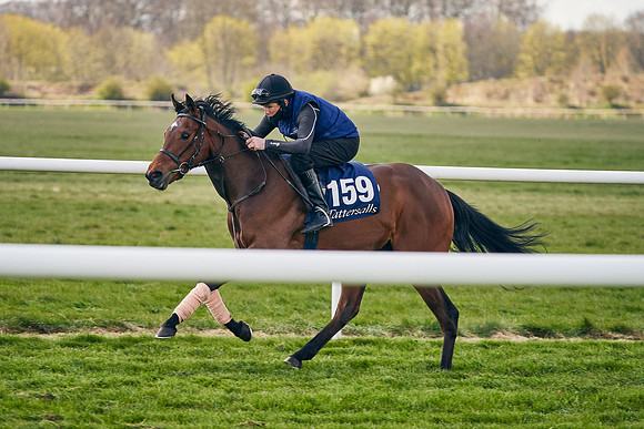 2021-04-12-Dominic-James-Craven-Breeze-Up-Sales-1059