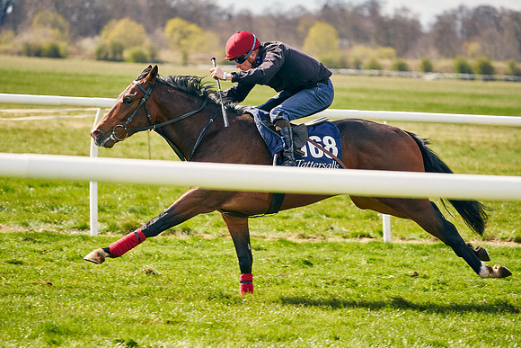 2021-04-12-Dominic-James-Craven-Breeze-Up-Sales-0982