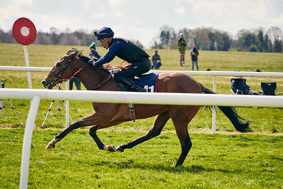 2021-04-12-Dominic-James-Craven-Breeze-Up-Sales-1016