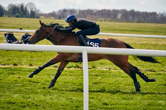 2021-04-12-Dominic-James-Craven-Breeze-Up-Sales-0921