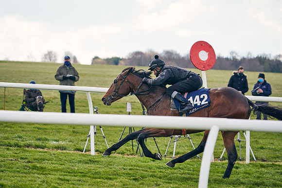 2021-04-12-Dominic-James-Craven-Breeze-Up-Sales-0935