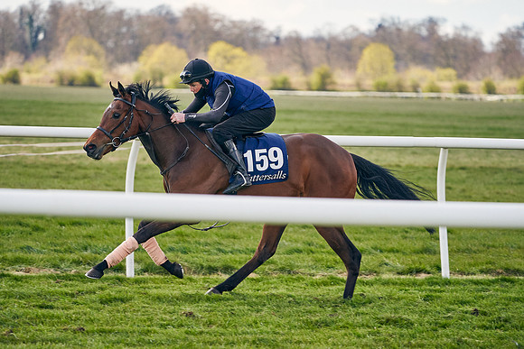 2021-04-12-Dominic-James-Craven-Breeze-Up-Sales-1062