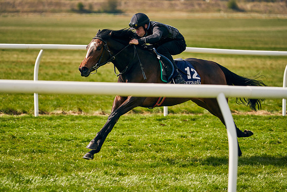 2021-04-12-Dominic-James-Craven-Breeze-Up-Sales-0868