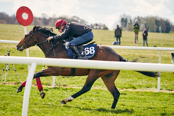 2021-04-12-Dominic-James-Craven-Breeze-Up-Sales-0986
