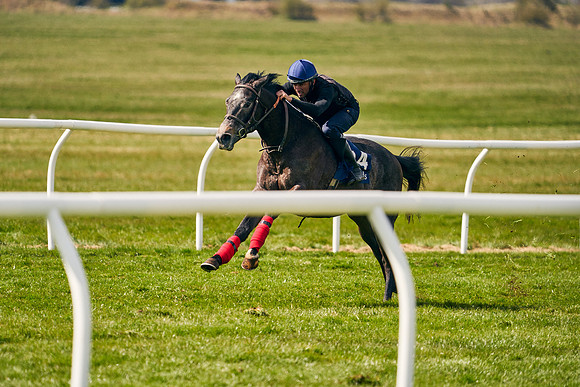 2021-04-12-Dominic-James-Craven-Breeze-Up-Sales-0989
