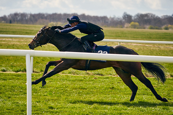 2021-04-12-Dominic-James-Craven-Breeze-Up-Sales-0880