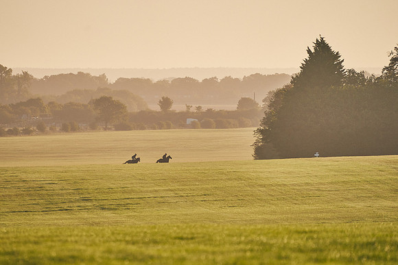 5th-September-Dominic-James-00610
