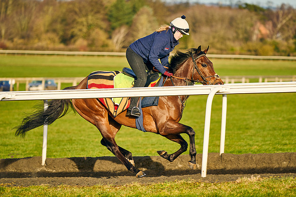 2022-02-01-Dominic-James-7297