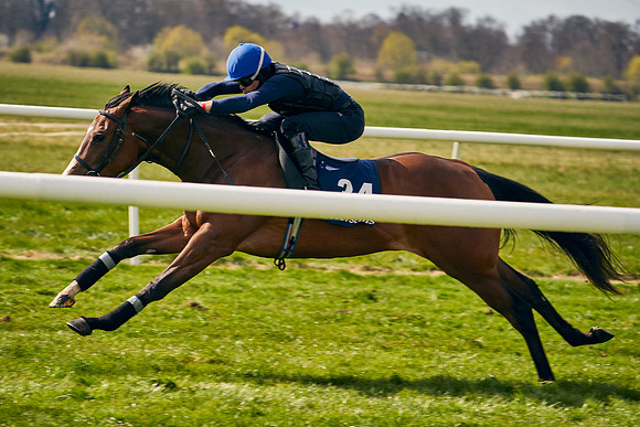 2021-04-12-Dominic-James-Craven-Breeze-Up-Sales-0866
