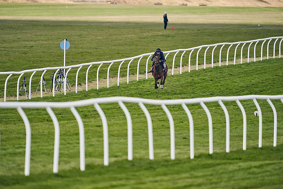 2021-04-12-Dominic-James-Craven-Breeze-Up-Sales-1058