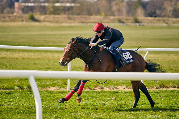 2021-04-12-Dominic-James-Craven-Breeze-Up-Sales-0978