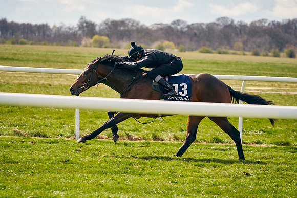 2021-04-12-Dominic-James-Craven-Breeze-Up-Sales-1005