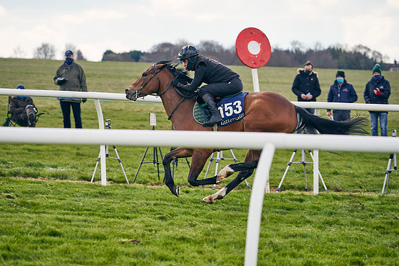 2021-04-12-Dominic-James-Craven-Breeze-Up-Sales-0942