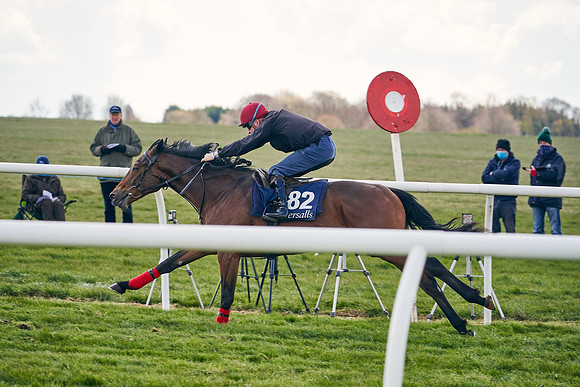 2021-04-12-Dominic-James-Craven-Breeze-Up-Sales-1056