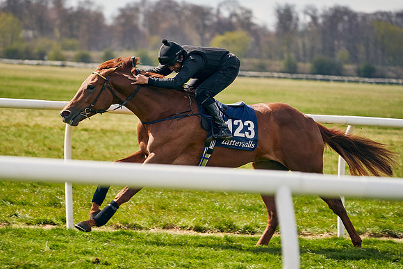 2021-04-12-Dominic-James-Craven-Breeze-Up-Sales-0907