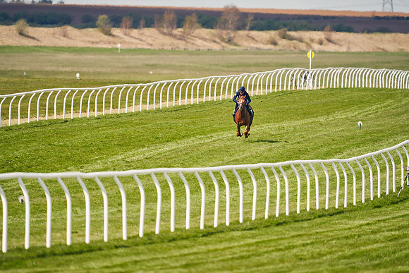 2021-04-12-Dominic-James-Craven-Breeze-Up-Sales-0946