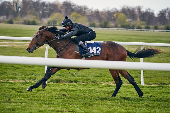2021-04-12-Dominic-James-Craven-Breeze-Up-Sales-0930