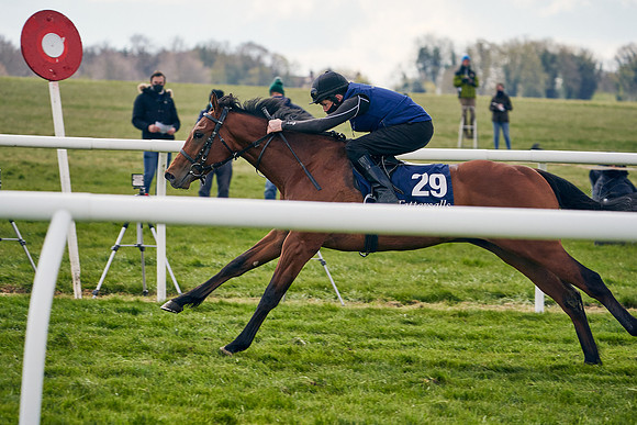 2021-04-12-Dominic-James-Craven-Breeze-Up-Sales-0898