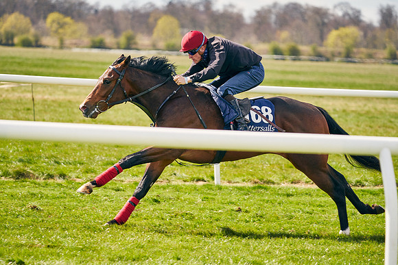 2021-04-12-Dominic-James-Craven-Breeze-Up-Sales-0981