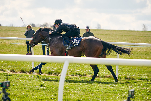 2021-04-12-Dominic-James-Craven-Breeze-Up-Sales-1030