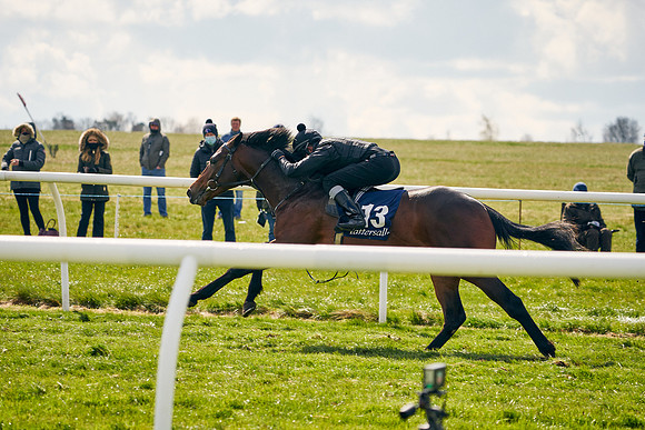 2021-04-12-Dominic-James-Craven-Breeze-Up-Sales-1011