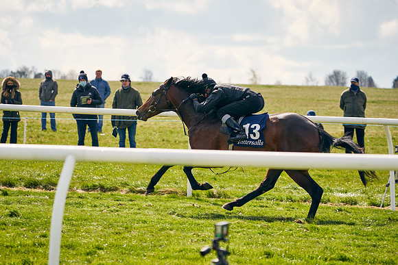 2021-04-12-Dominic-James-Craven-Breeze-Up-Sales-1010