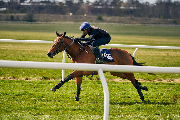 2021-04-12-Dominic-James-Craven-Breeze-Up-Sales-0916