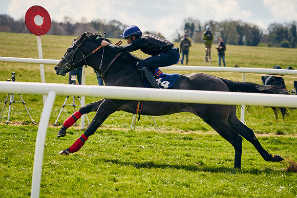 2021-04-12-Dominic-James-Craven-Breeze-Up-Sales-0995
