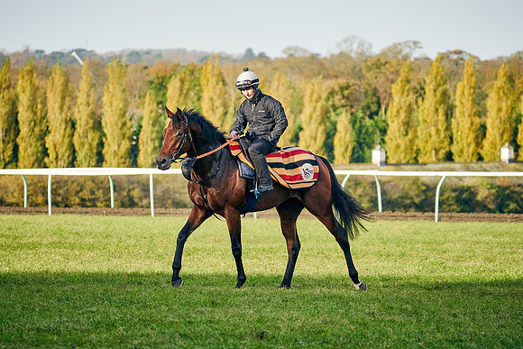 2020-10-28-Dominic-James-4532