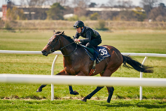 2021-04-12-Dominic-James-Craven-Breeze-Up-Sales-1020