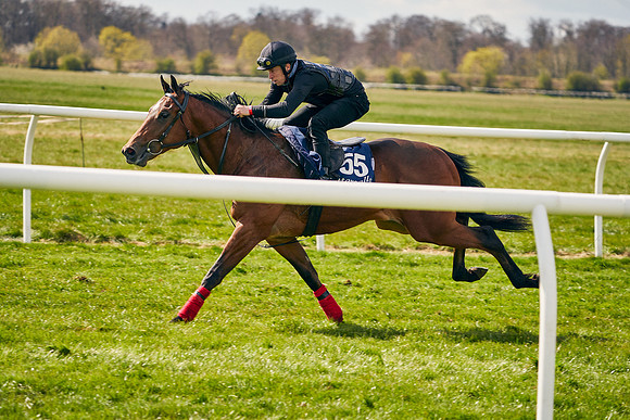 2021-04-12-Dominic-James-Craven-Breeze-Up-Sales-0961