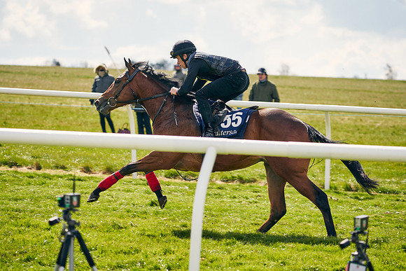 2021-04-12-Dominic-James-Craven-Breeze-Up-Sales-0968