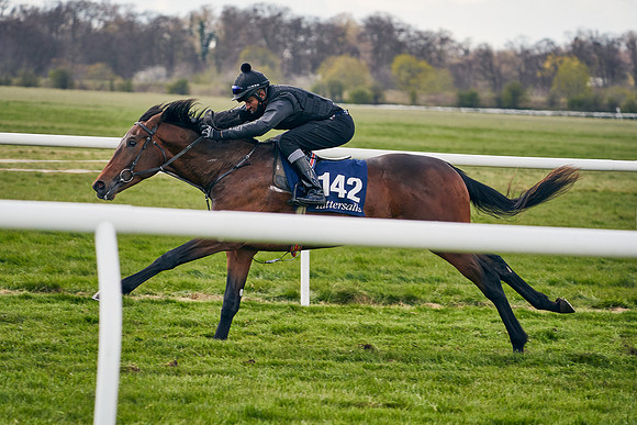 2021-04-12-Dominic-James-Craven-Breeze-Up-Sales-0931