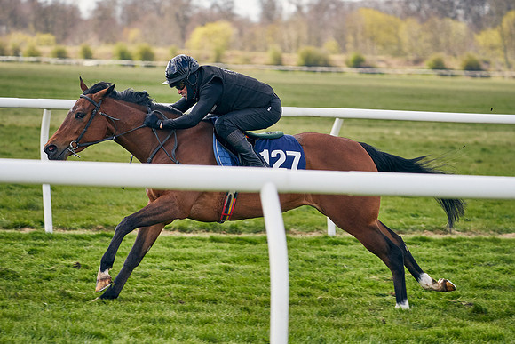 2021-04-12-Dominic-James-Craven-Breeze-Up-Sales-1034