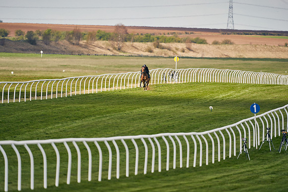 2021-04-12-Dominic-James-Craven-Breeze-Up-Sales-0937