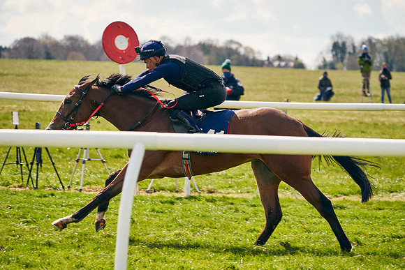 2021-04-12-Dominic-James-Craven-Breeze-Up-Sales-1017