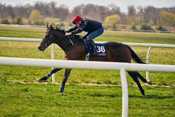 2021-04-12-Dominic-James-Craven-Breeze-Up-Sales-0889