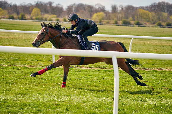 2021-04-12-Dominic-James-Craven-Breeze-Up-Sales-0960