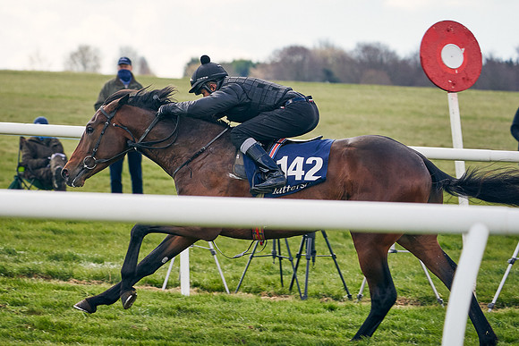 2021-04-12-Dominic-James-Craven-Breeze-Up-Sales-0936