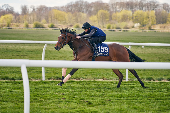 2021-04-12-Dominic-James-Craven-Breeze-Up-Sales-1060