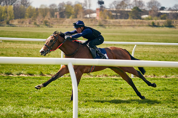 2021-04-12-Dominic-James-Craven-Breeze-Up-Sales-1014